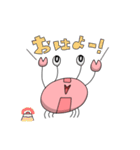 かにの観察日記(かにかん)（個別スタンプ：3）