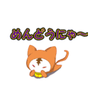 ずきんのねこ2（個別スタンプ：12）