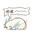 White fat mochi-cat（個別スタンプ：37）