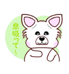 Lucky犬レオと毎日一緒に（個別スタンプ：7）