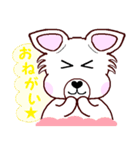 Lucky犬レオと毎日一緒に（個別スタンプ：13）