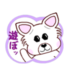 Lucky犬レオと毎日一緒に（個別スタンプ：29）