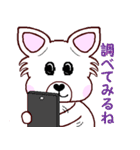 Lucky犬レオと毎日一緒に（個別スタンプ：37）