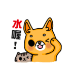 bandage bear＆shiba inu 03（個別スタンプ：10）