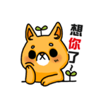 bandage bear＆shiba inu 03（個別スタンプ：14）