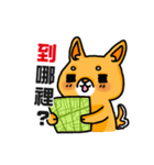 bandage bear＆shiba inu 03（個別スタンプ：17）