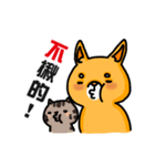 bandage bear＆shiba inu 03（個別スタンプ：19）