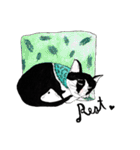 Slum Cat Illustration（個別スタンプ：3）