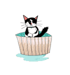 Slum Cat Illustration（個別スタンプ：24）