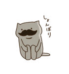 ちょこ猫と髭（個別スタンプ：9）