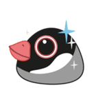 QQ Java Sparrow 2（個別スタンプ：16）