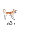 吹き出しとカワイイ犬たち（個別スタンプ：2）