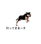 吹き出しとカワイイ犬たち（個別スタンプ：7）