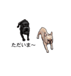 吹き出しとカワイイ犬たち（個別スタンプ：9）