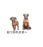 吹き出しとカワイイ犬たち（個別スタンプ：10）