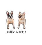 吹き出しとカワイイ犬たち（個別スタンプ：11）