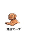 吹き出しとカワイイ犬たち（個別スタンプ：12）