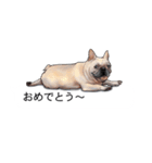 吹き出しとカワイイ犬たち（個別スタンプ：15）