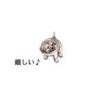 吹き出しとカワイイ犬たち（個別スタンプ：18）