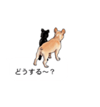 吹き出しとカワイイ犬たち（個別スタンプ：28）