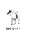 吹き出しとカワイイ犬たち（個別スタンプ：32）