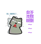 Small gray cat daily（個別スタンプ：30）