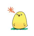 ひよことことり（個別スタンプ：31）