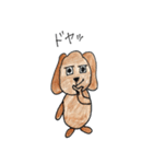 トイプードル大好き（個別スタンプ：38）