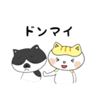 ネコのちょびとミニー（個別スタンプ：20）
