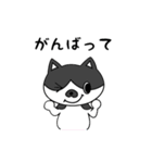 ネコのちょびとミニー（個別スタンプ：31）
