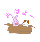 みーぴょん（個別スタンプ：5）