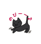 めたねこ家族1(グルチャ編)（個別スタンプ：6）