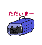 めたねこ家族1(グルチャ編)（個別スタンプ：12）