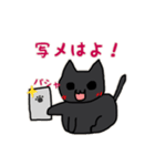 めたねこ家族1(グルチャ編)（個別スタンプ：13）