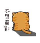 ランラン猫 4（個別スタンプ：37）