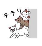 くつろぎにゃんこと吹き出し（個別スタンプ：3）