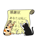 くつろぎにゃんこと吹き出し（個別スタンプ：15）