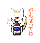 気ままな子猫を拾った。part.2（個別スタンプ：13）