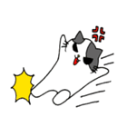 手書きのにゃんこたち（個別スタンプ：36）