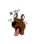 Mr.Dog！（個別スタンプ：37）