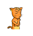 simple sticker : orange cat（個別スタンプ：1）