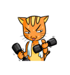 simple sticker : orange cat（個別スタンプ：6）
