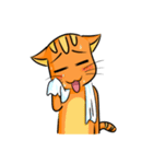 simple sticker : orange cat（個別スタンプ：7）