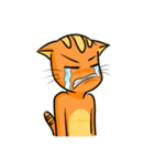 simple sticker : orange cat（個別スタンプ：8）