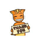 simple sticker : orange cat（個別スタンプ：13）