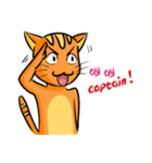 simple sticker : orange cat（個別スタンプ：15）