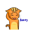 simple sticker : orange cat（個別スタンプ：28）