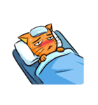 simple sticker : orange cat（個別スタンプ：33）