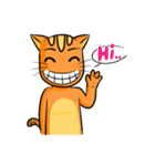 simple sticker : orange cat（個別スタンプ：38）