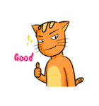 simple sticker : orange cat（個別スタンプ：40）